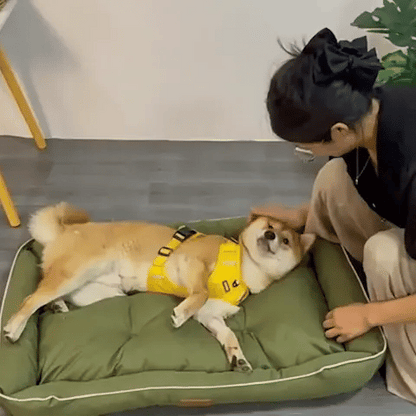 Panier pour chien | Ultra Confortable - Dogscie