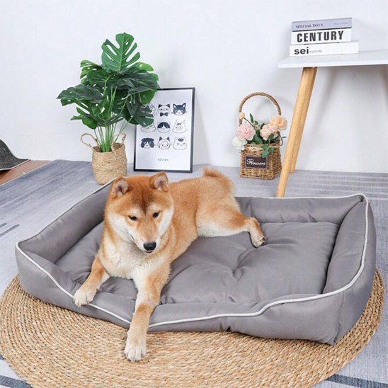 Panier pour chien | Ultra Confortable - Dogscie
