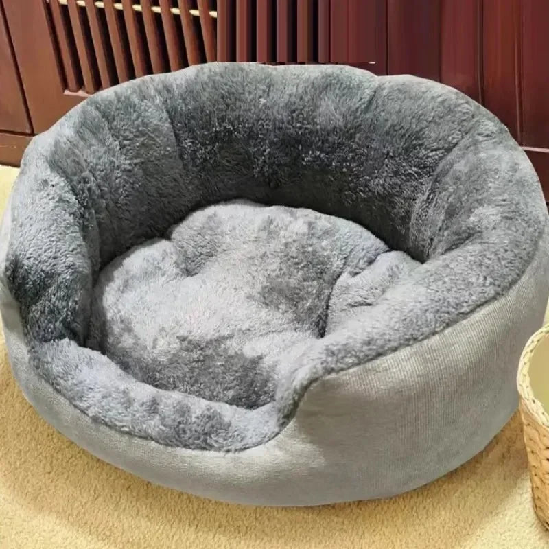 Panier pour chien