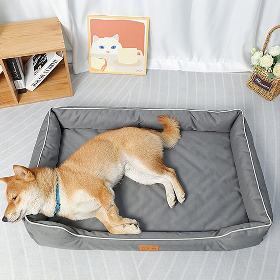 Panier pour chien