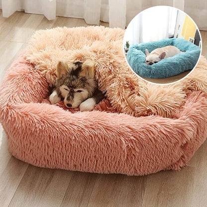 Panier pour chien