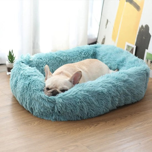 Panier pour chien