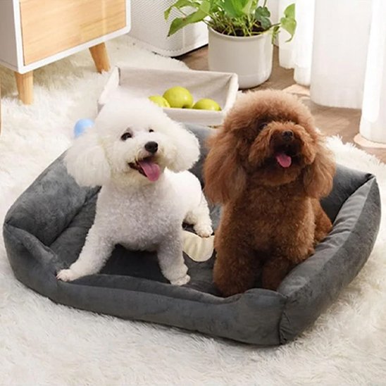 Panier pour chien
