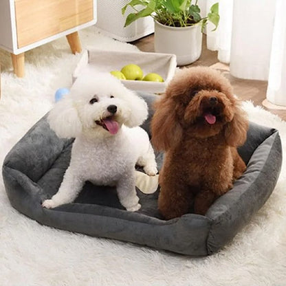 Panier pour chien