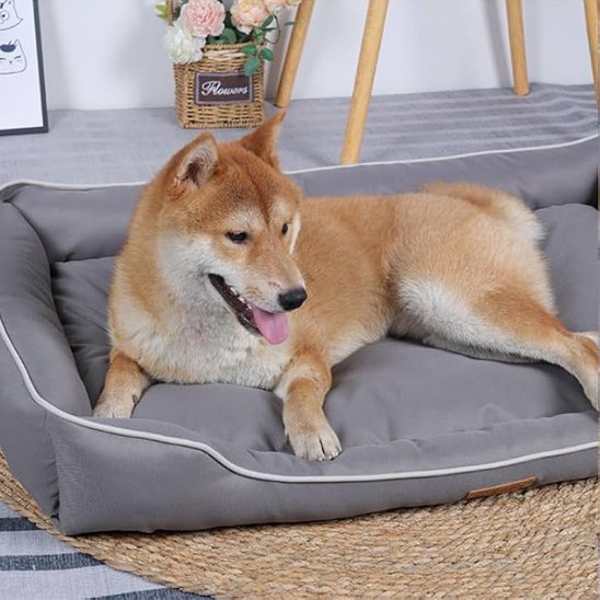 Panier pour chien