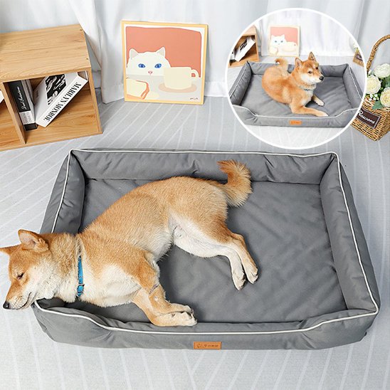 Panier pour chien