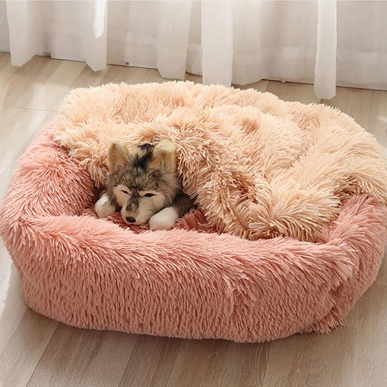 Panier pour chien