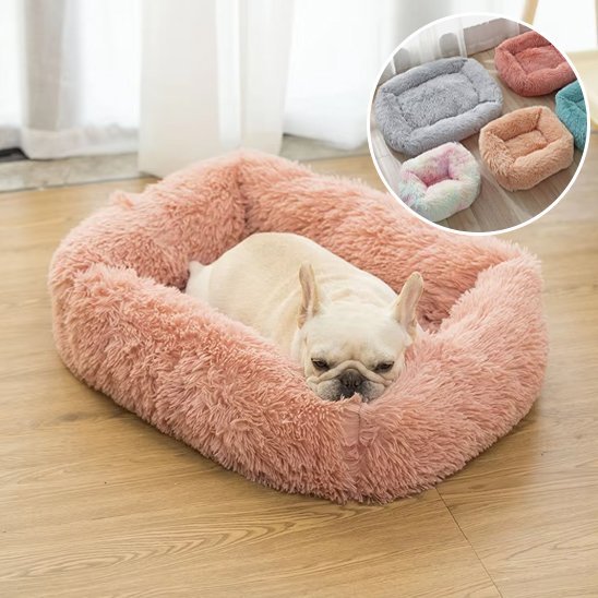 Panier pour chien