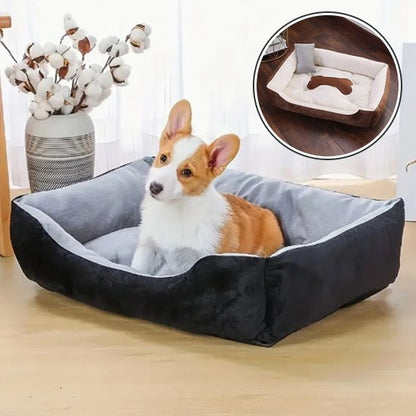 Panier pour chien