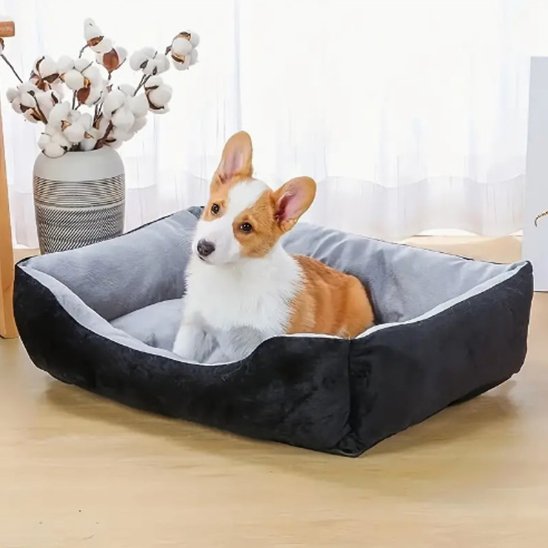 Panier pour chien