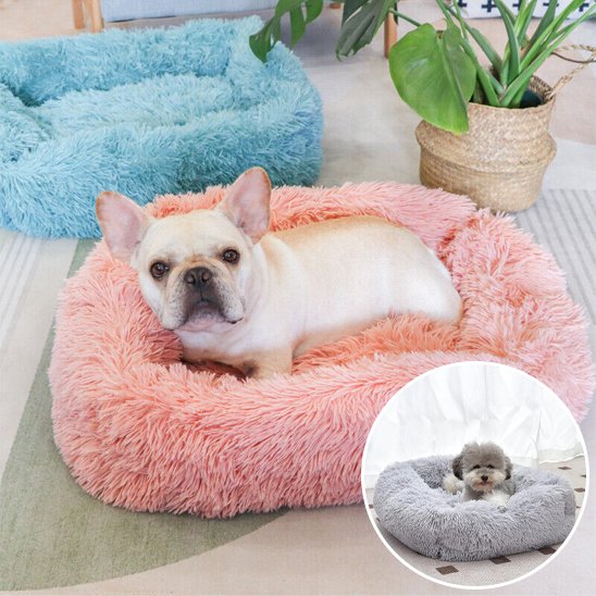 Panier pour chien