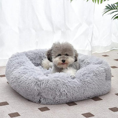 Panier pour chien