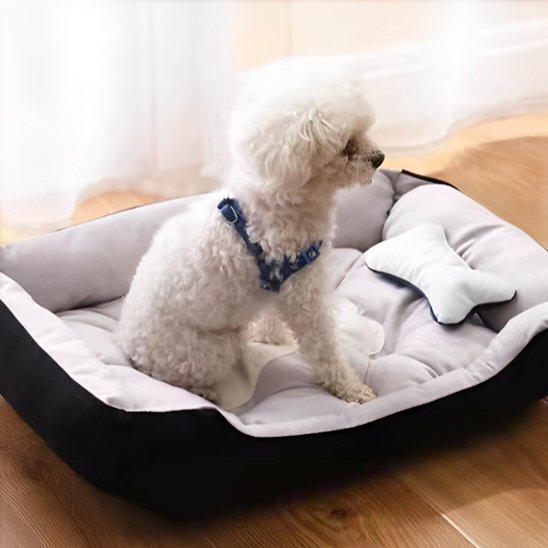 Panier pour chien