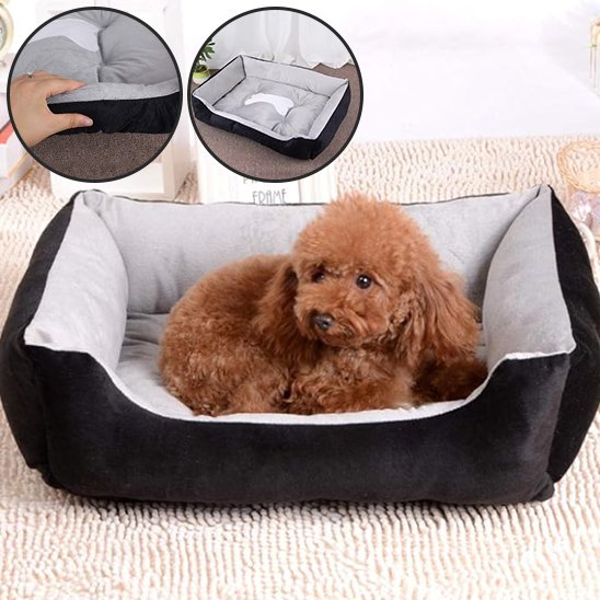 Panier pour chien