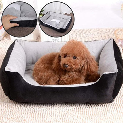Panier pour chien
