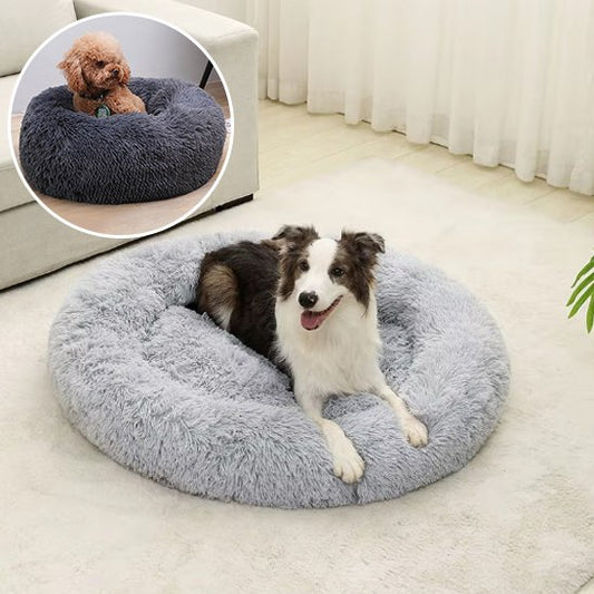 Panier pour chien