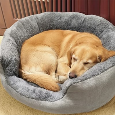 Panier pour chien