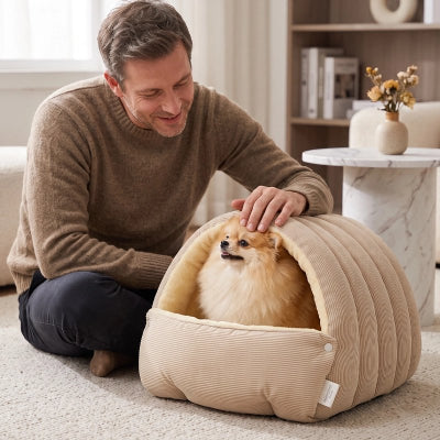 Panier pour petit chien beige sur moquette beige du salon avec poméranien assis heureux avec son maître assis à côté 