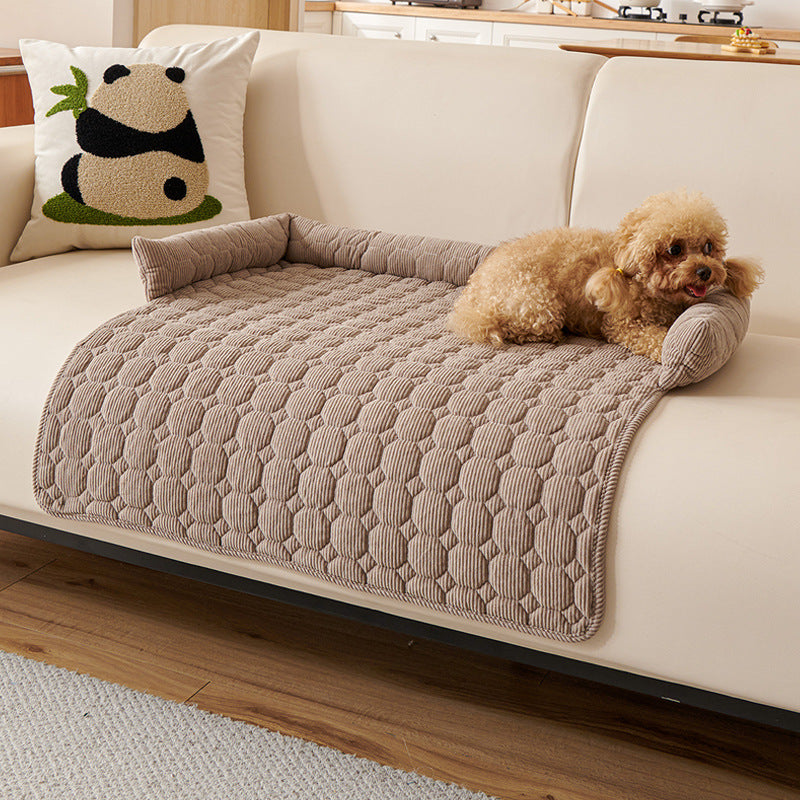 Protection canapé chien beige foncé sur canapé beige pâle avec caniche brun pâle couché  heureux 