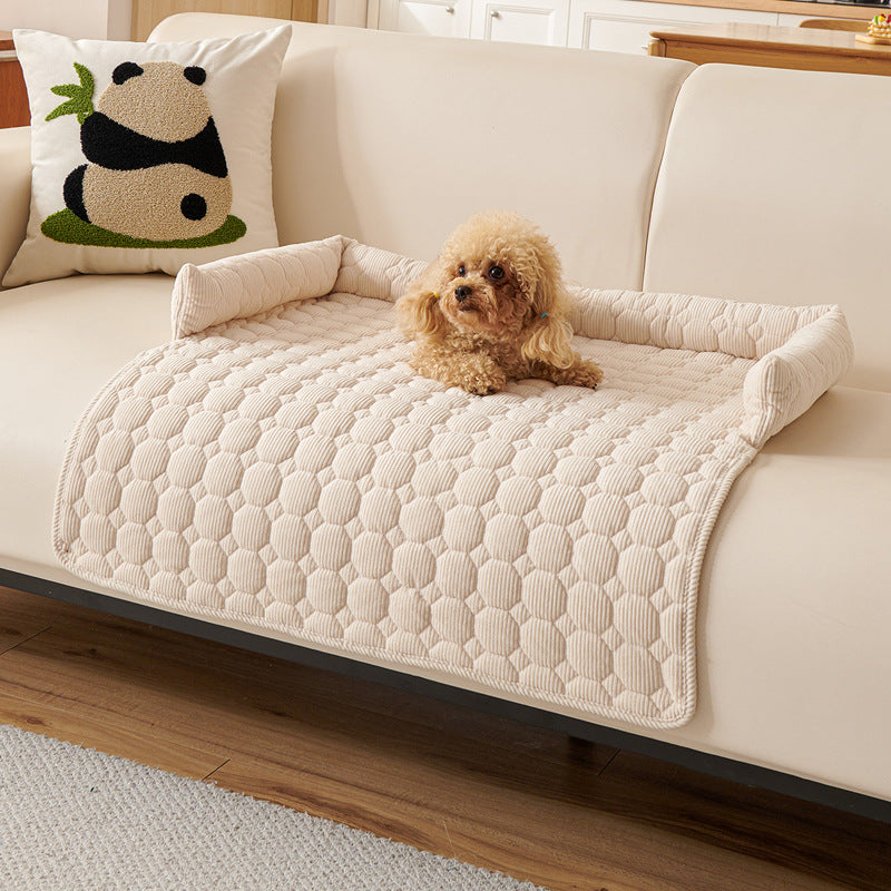Protection canapé chien beige pâle sur canapé beige pâle avec caniche  brun pâle couché heureux fixant un maître 