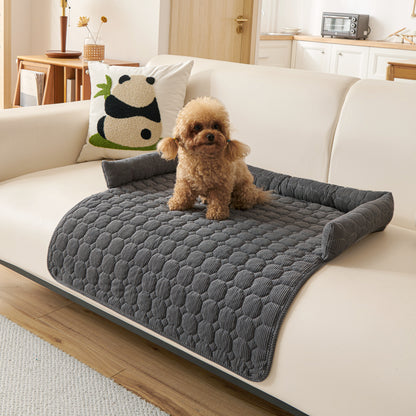 Protection canapé chien gris foncé sur canapé beige pâle avec caniche brun pâle assis heureux fixant l'objectif
