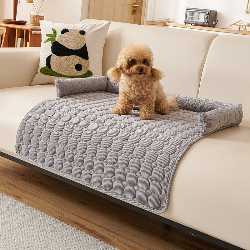 Protection canapé chien gris pâle sur canapé beige pâle avec caniche brun pâle assis heureux fixant l'objectif