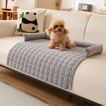Protection canapé chien gris pâle sur canapé beige pâle avec caniche brun pâle assis heureux fixant l'objectif