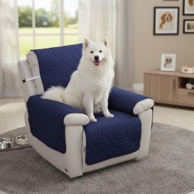 Protection canapé bleu sur fauteuil d'appoint ou inclinable blanc avec malamute blanc assis heureux