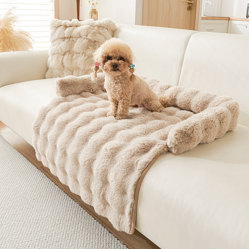 Protection canapé chien  beige avec caniche beige foncé assis sur canapé blanc
