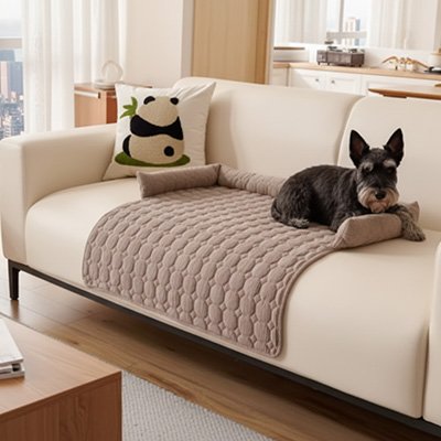 Protection canapé chien beige foncé sur canapé beige pâle avec Schnauzer nain couché heureux