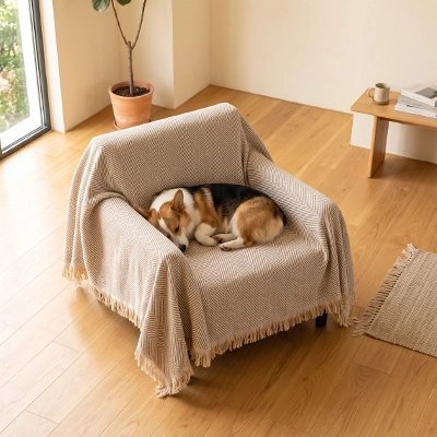 Protection canapé chien beige sur canapé une place petit avec chien couché en rond dormant paisiblement