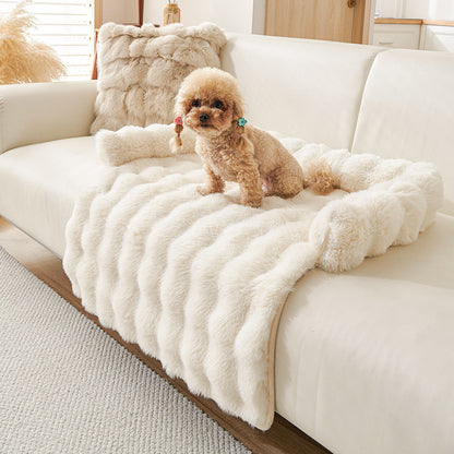 Protection canapé chien  blanc avec caniche beige foncé assis sur canapé blanc