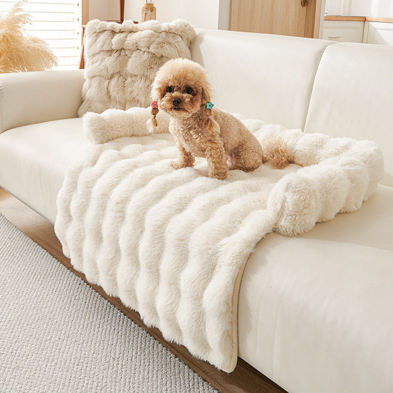 Protection canapé chien blanc avec caniche brun pâle assis sur canapé blanc