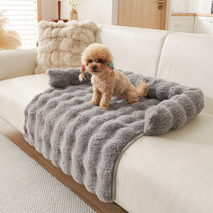 Protection canapé chien gris avec caniche beige foncé assis sur canapé blanc
