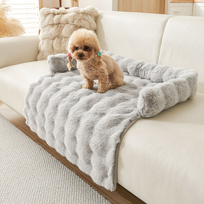 Protection canapé chien  gris clair avec caniche beige foncé assis sur canapé blanc