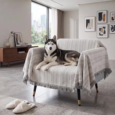 Protection canapé chien gris et noir sur fauteuil avec husky couché regardant l'objectif