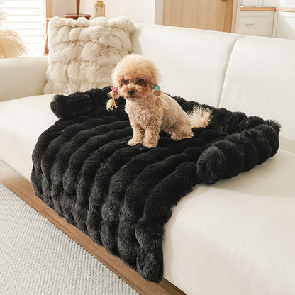 Protection canapé chien noir avec caniche beige foncé assis sur canapé blanc