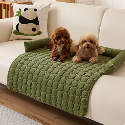 Protection canapé chien vert sur canapé beige pâle avec deux caniches un brun et beige couchés heureux
