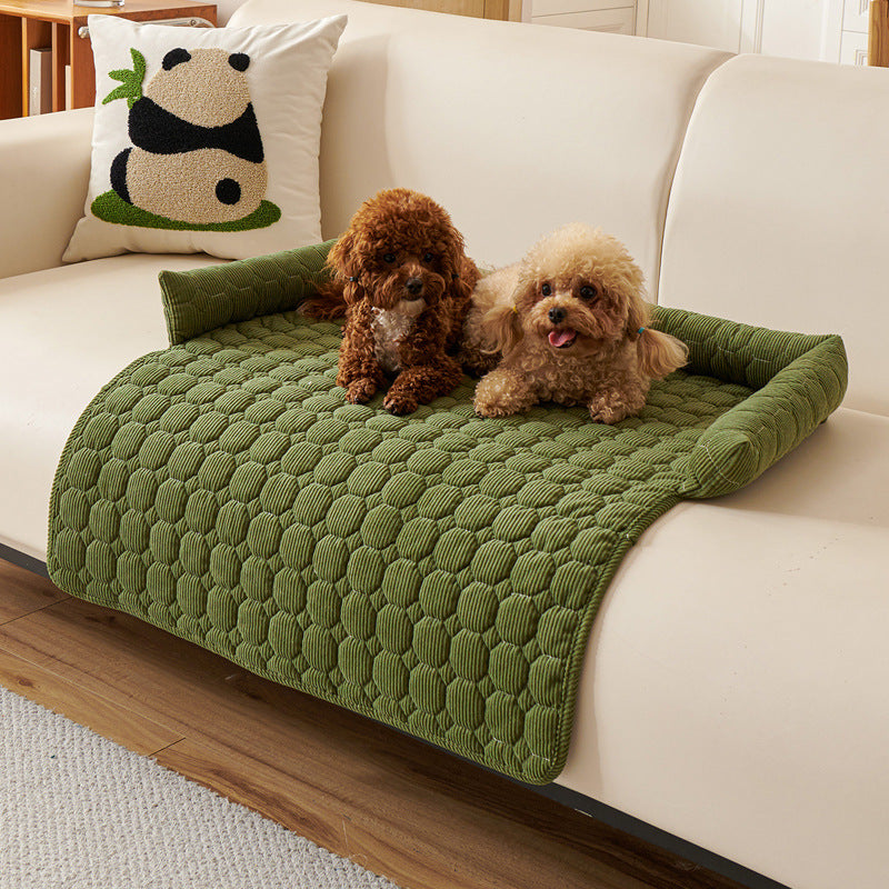 Protection canapé chien vert sur canapé beige pâle avec deux caniches un brun et beige couchés heureux