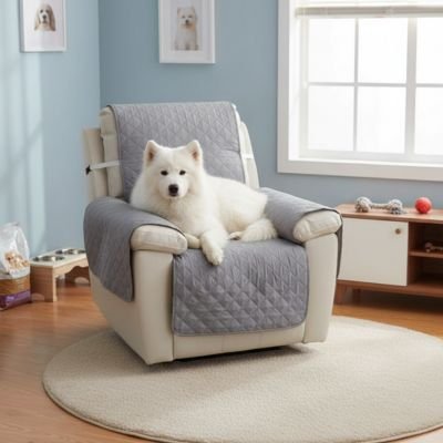 Protection canapé gris sur fauteuil d'appoint ou inclinable blanc avec malamute blanc couché heureux