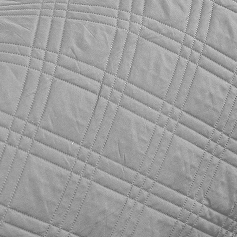 Protection canapé chien gris