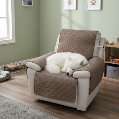 Protection canapé kaki  sur fauteuil d'appoint ou inclinable blanc avec malamute blanc dormant paisiblement