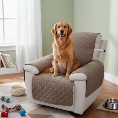 Protection canapé  kaki  sur fauteuil d'appoint ou inclinable blanc avec golden retriever assis heureux