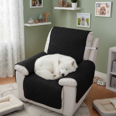 Protection canapé noir sur fauteuil d'appoint ou inclinable blanc avec malamute blanc dormant paisiblement