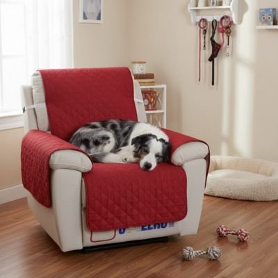 Protection canapé rouge sur fauteuil d'appoint ou inclinable blanc avec berger australien dormant paisiblement 