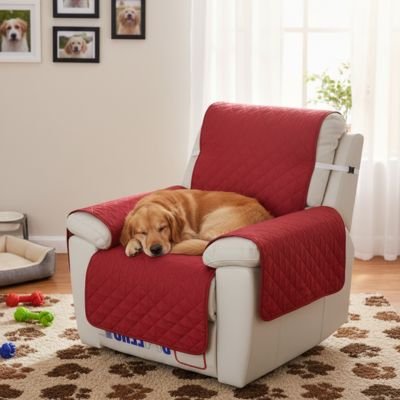 Protection canapé rouge sur fauteuil d'appoint ou inclinable blanc avec golden retriever dormant paisiblement