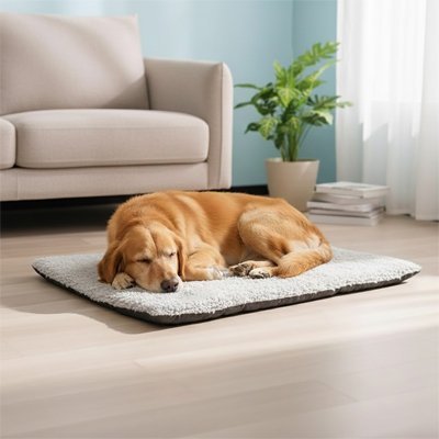 Tapis Chien | Confort Antidérapant - Dogscie