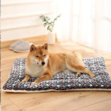 Tapis chien | Confort Ultra - Dogscie