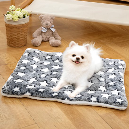 Tapis chien gris étoiles blanches sur plancher bois franc avec petit chien blanc heureux et souriant