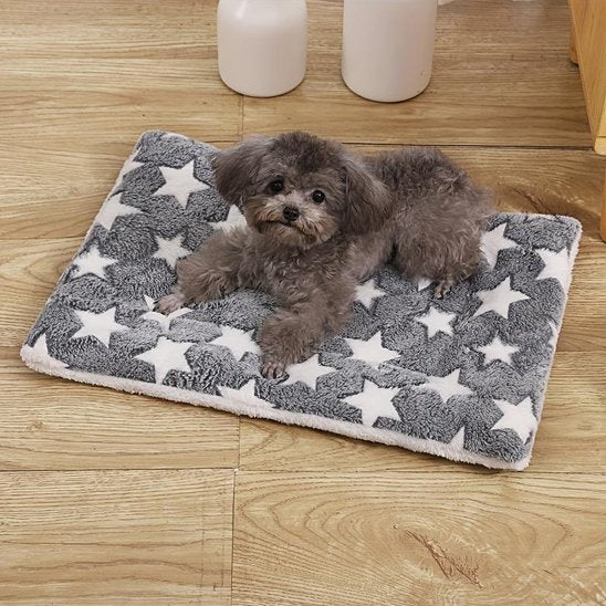 Tapis chien gris étoiles blanches sur plancher bois franc avec caniche gris couché heureux et souriant